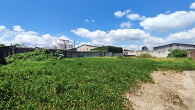 Terreno para locação - Av. COronel José Lobo-2