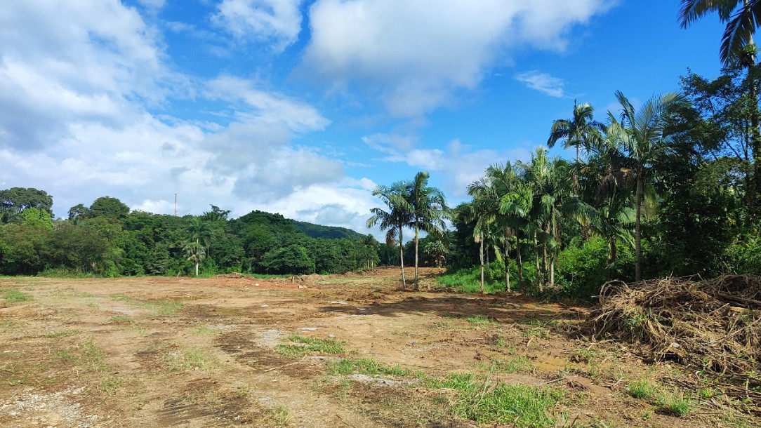 TERRENO COMERCIAL BR-277, KM-24 (MORRETES)-6