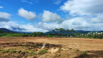 TERRENO COMERCIAL BR-277, KM-24 (MORRETES)-4