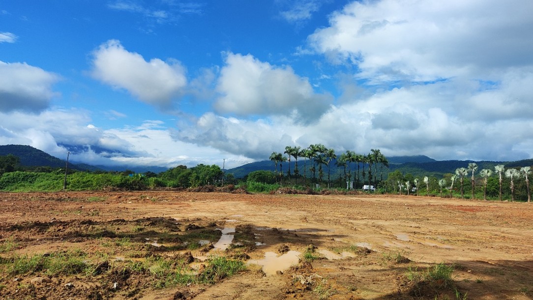 TERRENO COMERCIAL BR-277, KM-24 (MORRETES)-4