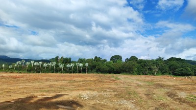 TERRENO COMERCIAL BR-277, KM-24 (MORRETES)